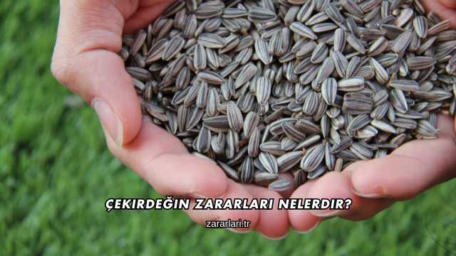 Çekirdeğin Zararları Nelerdir?