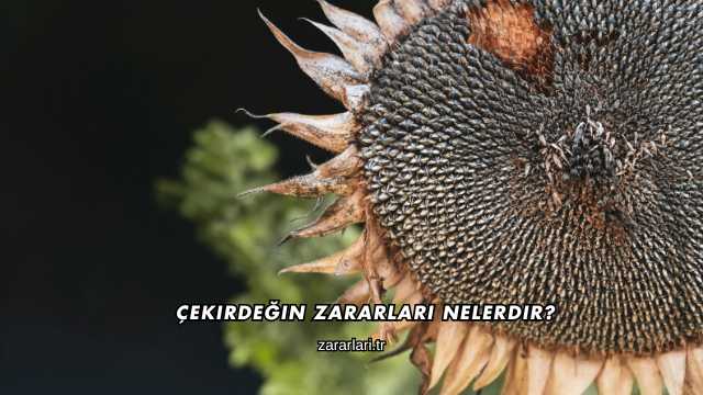 Çekirdeğin Zararları Nelerdir?