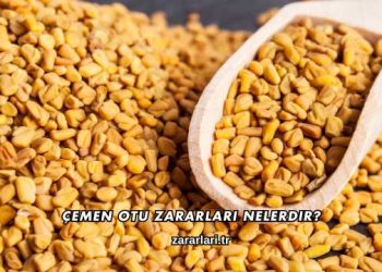 Çemen Otu Zararları Nelerdir?