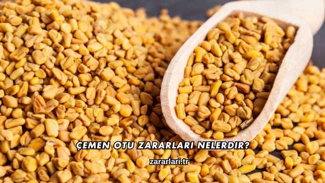 Çemen Otu Zararları Nelerdir?