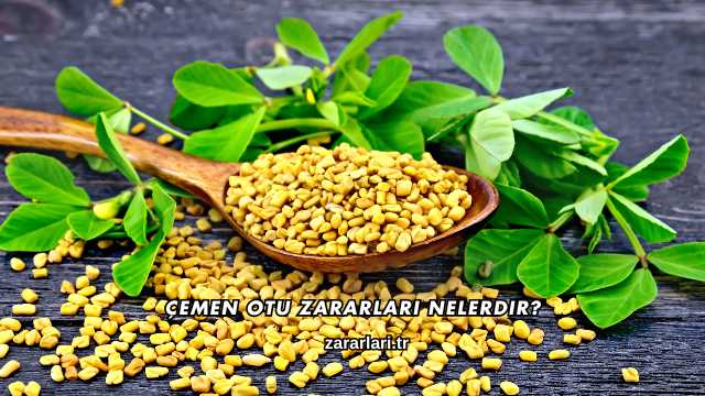 Çemen Otu Zararları Nelerdir?