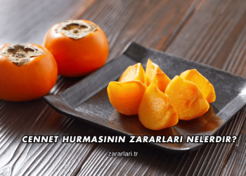 Cennet Hurmasının Zararları Nelerdir?