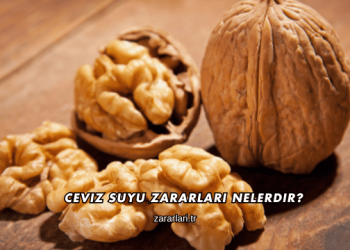 Ceviz Suyu Zararları Nelerdir?