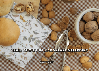 Ceviz Suyunun Zararları Nelerdir?