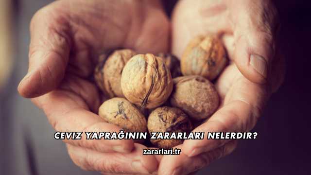Ceviz Yaprağının Zararları Nelerdir?