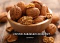 Cevizin Zararları Nelerdir?