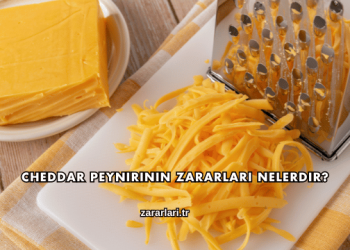 Cheddar Peynirinin Zararları Nelerdir?