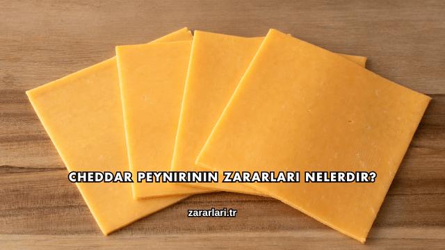 Cheddar Peynirinin Zararları Nelerdir?