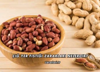 Çiğ Yer Fıstığı Zararları Nelerdir?