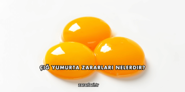 Çiğ Yumurta Zararları Nelerdir?