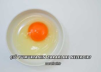 Çiğ Yumurtanın Zararları Nelerdir?