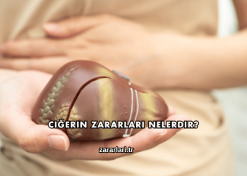Ciğerin Zararları Nelerdir?