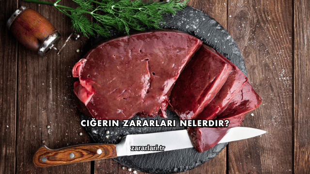 Ciğerin Zararları Nelerdir?