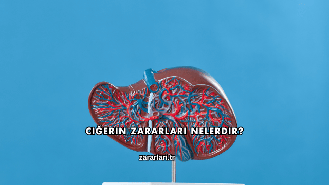 Ciğerin Zararları Nelerdir?