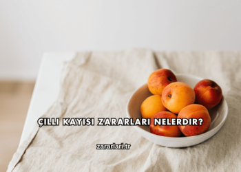 Çilli Kayısı Zararları Nelerdir?