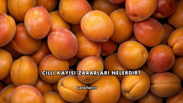 Çilli Kayısı Zararları Nelerdir?