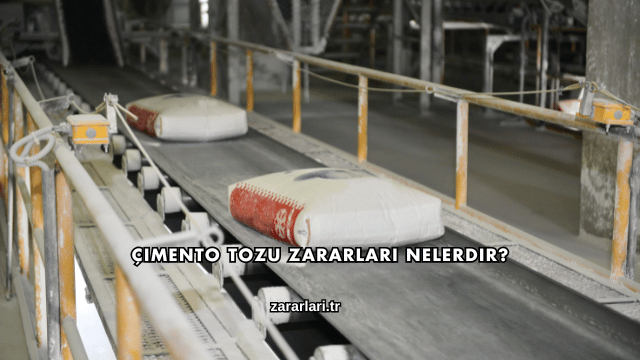 Çimento Tozu Zararları Nelerdir?