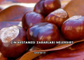 Çin Kestanesi Zararları Nelerdir?