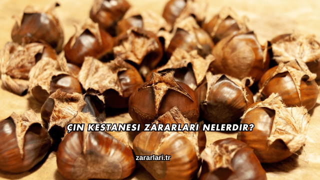 Çin Kestanesi Zararları Nelerdir?