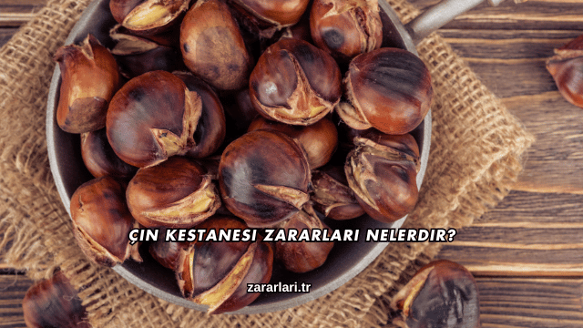 Çin Kestanesi Zararları Nelerdir?