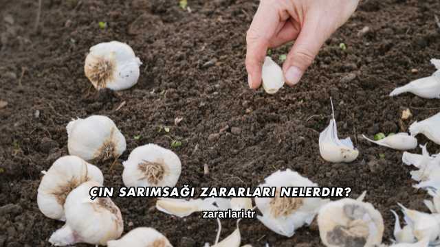 Çin Sarımsağı Zararları Nelerdir?