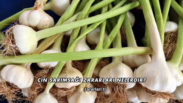 Çin Sarımsağı Zararları Nelerdir?