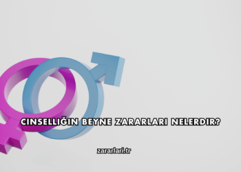 Cinselliğin Beyne Zararları Nelerdir?