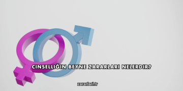 Cinselliğin Beyne Zararları Nelerdir?