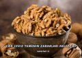 Çok Ceviz Yemenin Zararları Nelerdir?