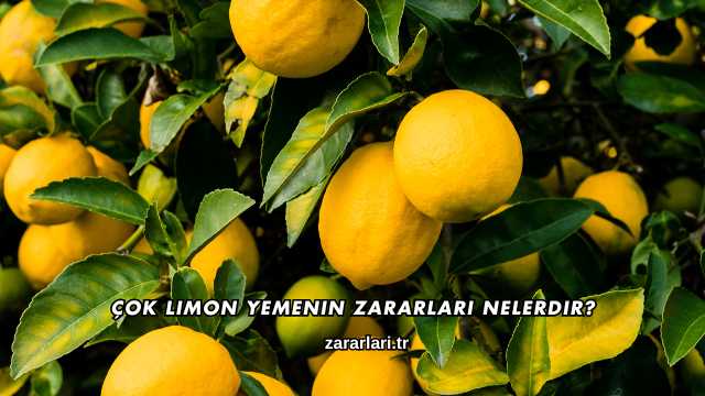 Çok Limon Yemenin Zararları Nelerdir?