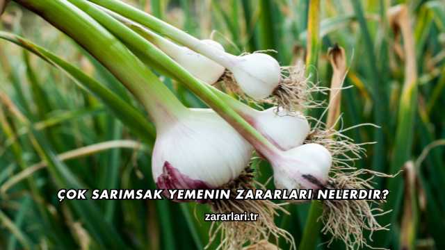 Çok Sarımsak Yemenin Zararları Nelerdir?