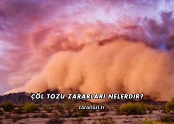 Çöl Tozu Zararları Nelerdir?