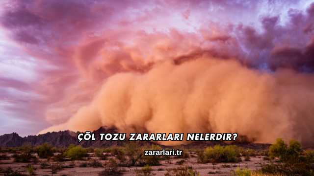 Çöl Tozu Zararları Nelerdir?