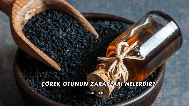 Çörek Otunun Zararları Nelerdir?