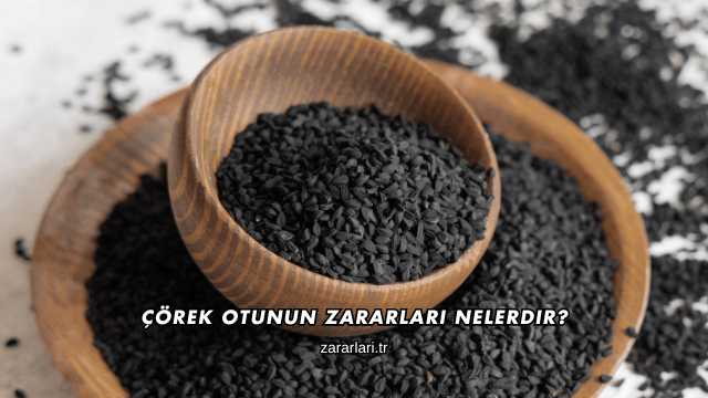 Çörek Otunun Zararları Nelerdir?