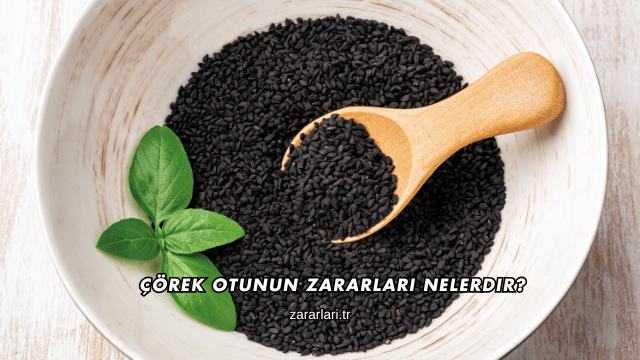 Çörek Otunun Zararları Nelerdir?