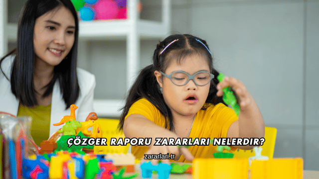 Çözger Raporu Zararları Nelerdir?
