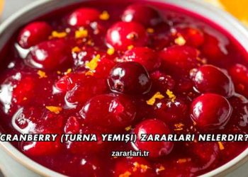 Cranberry (Turna Yemişi) Zararları Nelerdir?