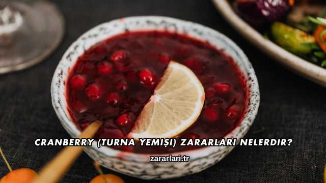 Cranberry (Turna Yemişi) Zararları Nelerdir?