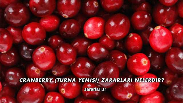 Cranberry (Turna Yemişi) Zararları Nelerdir?