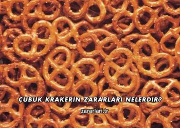 Çubuk Krakerin Zararları Nelerdir?