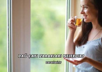 Dağ Çayı Zararları Nelerdir?