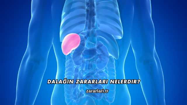 Dalağın Zararları Nelerdir?