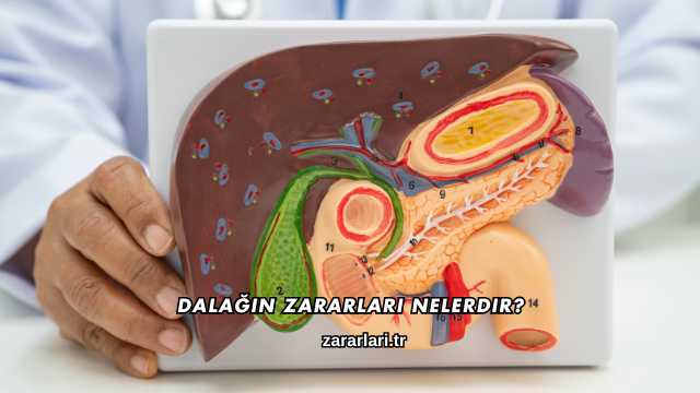 Dalağın Zararları Nelerdir?