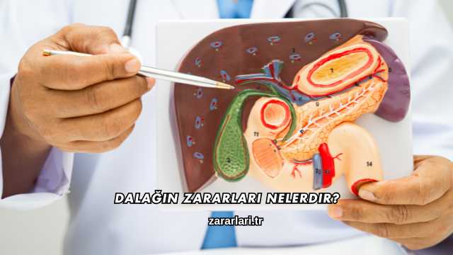 Dalağın Zararları Nelerdir?