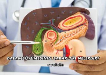 Dalak Büyümesinin Zararları Nelerdir?