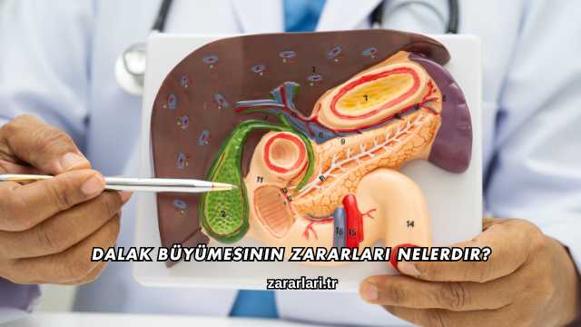 Dalak Büyümesinin Zararları Nelerdir?
