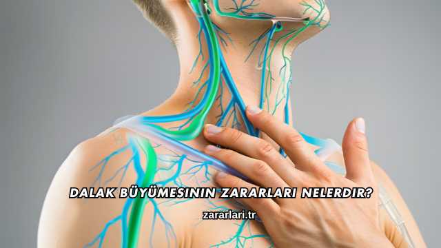 Dalak Büyümesinin Zararları Nelerdir?