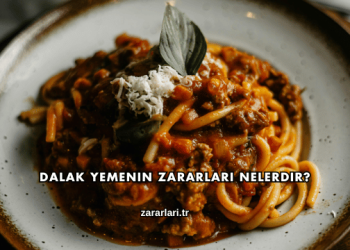 Dalak Yemenin Zararları Nelerdir?