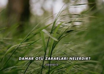 Damar Otu Zararları Nelerdir?